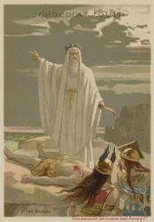 The Druids